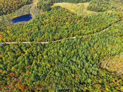 00 Paint Lake Road, Lake Of Bays, On P0b 1a0
