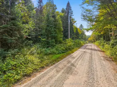 00 Paint Lake Road, Lake Of Bays, On P0b 1a0