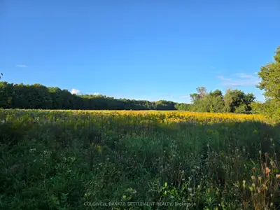 Lot 2 Bush Road, Rideau Lakes, On K0g 1e0