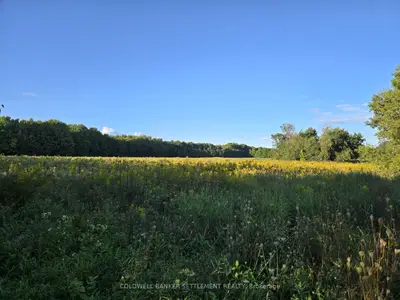 Lot 3 Bush Road, Rideau Lakes, On K0g 1e0