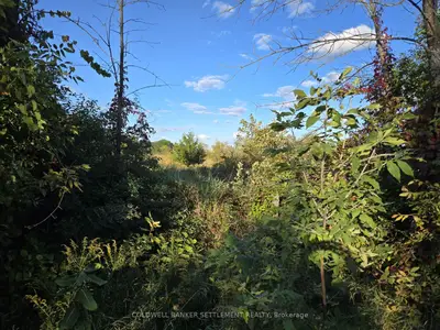 Lot 5 Bush Road, Rideau Lakes, On K0g 1e0