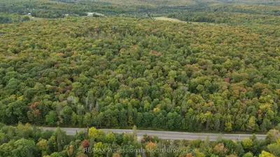 Concession 5 Lot 17 Aspdin Road, Muskoka Lakes, On P0c 1j0