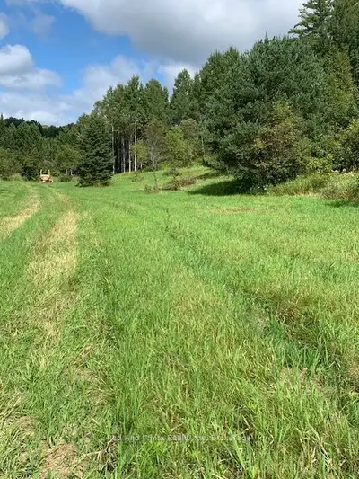 0 Three Mile Lake Road, Armour, On P0a 1l0