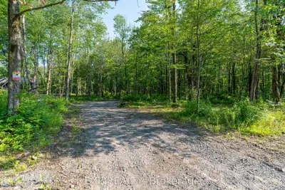 Lot 20 Concession 4 Road, Alfred And Plantagenet, On K0b 1l0
