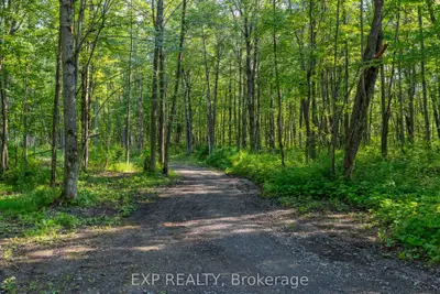 Lot 20 Concession 4 Road, Alfred And Plantagenet, On K0b 1l0