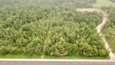 Pt Lt 80 Grey Rd 124 Grey Road, Grey Highlands, On N0c 1a0