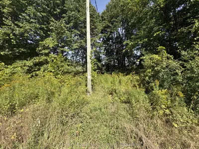 0 Ingham Road (lot 1 - West), Alnwick/haldimand, On K0k 1c0