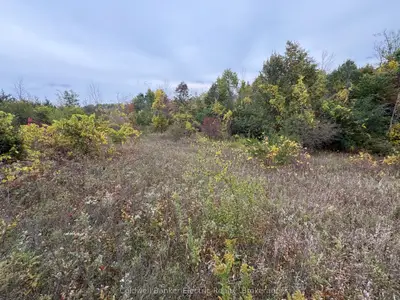 00 Ingham Road (lot 2 - East), Alnwick/haldimand, On K0k 1c0