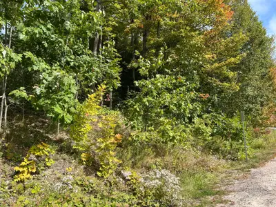 Pcl 28216 Highway 531, Bonfield, On P0h 1e0