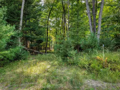 131 DEERFOOT Trail, Huntsville, ON P1H 0A8