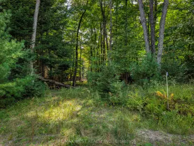 131 DEERFOOT Trail, Huntsville, ON P1H 0A8
