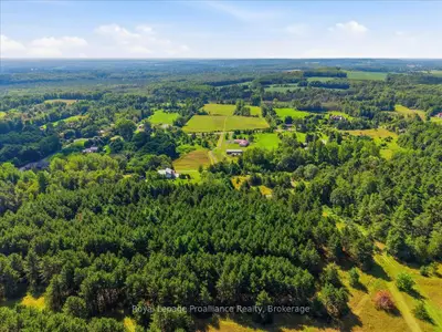 254 Airport Road, Quinte West, On K0k 3e0