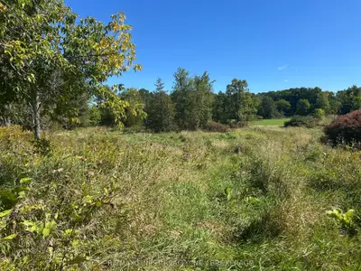 Lot 16 Battersea Road, Frontenac, On K0h 1h0