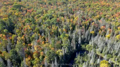 Pt Lt 5 Con 14 South Horn Lake Road, Armour, On P0a 1c0