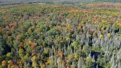 Pt Lt 5 Con 14 South Horn Lake Road, Armour, On P0a 1c0