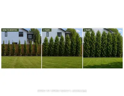337 Manhattan Drive, London South, On N6k 0l5