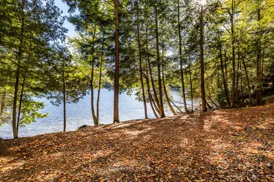 0 Thompson Portage Road, Lake Of Bays, On P0a 1h0