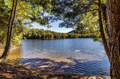 0 Thompson Portage Road, Lake Of Bays, On P0a 1h0