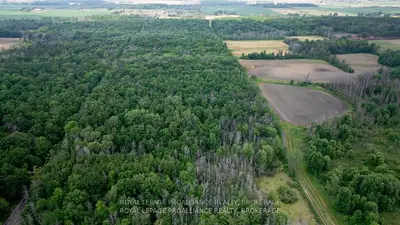 Lot C Townline Road, Loyalist, On K0h 1g0