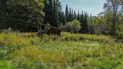 4388 Loop Road, Highlands East, On K0l 2a0