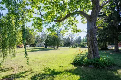 Lt 14 Butternut Drive, Kawartha Lakes, On K9v 4r1