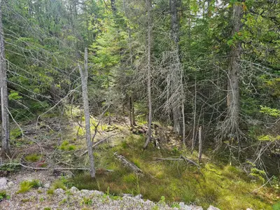 Lt 132 Pl 571 Dorcas Bay Road, Northern Bruce Peninsula, On N0h 2r0