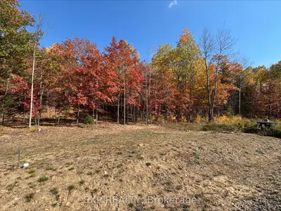 Lot 40 Yantha Crescent, Madawaska Valley, On K0j 1b0