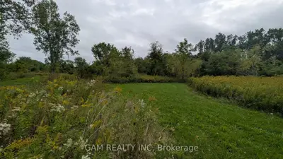V/l County Road 46 Road, Lakeshore, On N0p 1j0