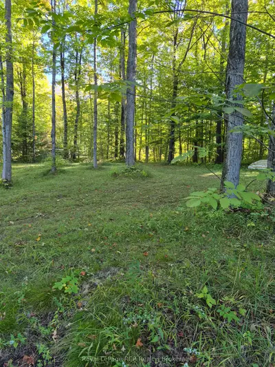 Reg Comp Plan 828 Lot 2 Flewelling Road, Grey Highlands, On N0c 1e0