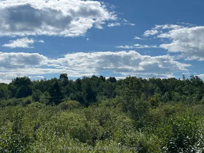 Pin 560110010 Pearson Road, Fort Frances, On P9a 3m3