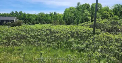 Lot 14 Trent River Road, Trent Hills, On K0l 1z0