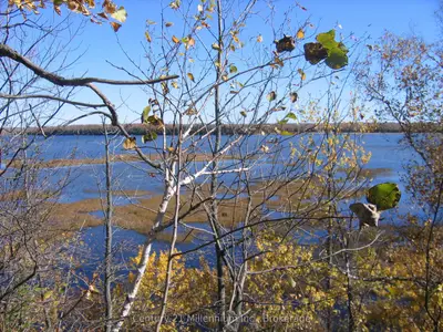 0 Lt 26 Con 2 Wbr Albemarle Concession, South Bruce Peninsula, On N0h 2t0