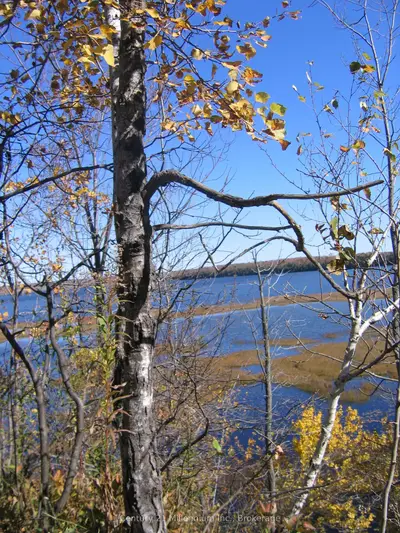 0 Lt 26 Con 2 Wbr Albemarle Concession, South Bruce Peninsula, On N0h 2t0