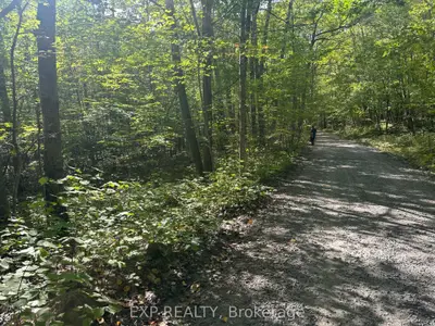 110 Horshoe Lane, Madawaska Valley, On K0j 1b0