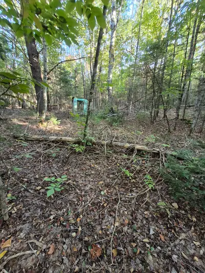 1257 Hamilton Road, Minden Hills, On K0m 2k0
