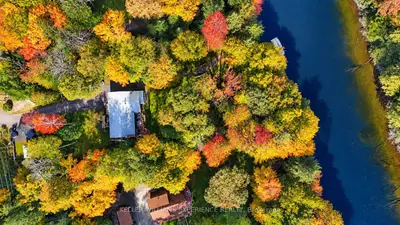1099 Sherwood Forest Road, Bracebridge, On P1l 1x3