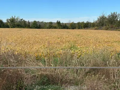 1807 Marysville Road, Tyendinaga, On K0k 2n0