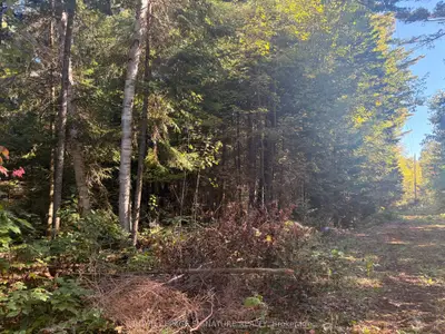 63 Bunny Trail, Mcdougall, On P2a 2w7