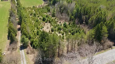 Pt Lot 4 Con 3 Shelter Valley Road, Alnwick/haldimand, On K0k 2g0
