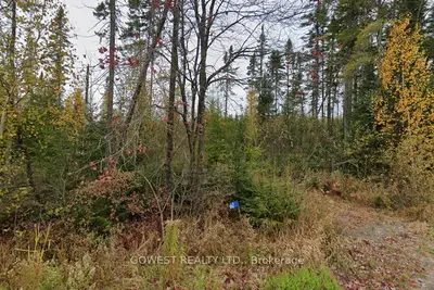 60 Stahls Road, Huntsville, On P1h 2j4