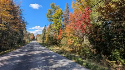 00 Savage Settlement Road, Perry, On P0a 1y0
