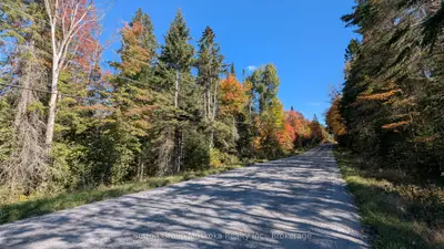 00 Savage Settlement Road, Perry, On P0a 1y0
