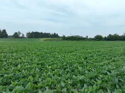 0 Bedford Road, Chatham-kent, On N7m 5j4