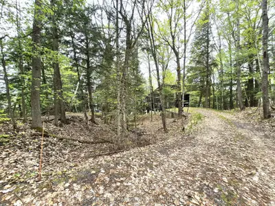 160 West Point Sands Road, Huntsville, On P1h 2j3