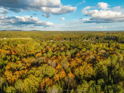1367 Detlor Road, Bancroft, On K0l 2l0