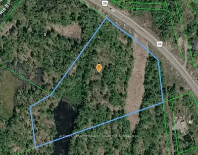 Lot 15 Concession 9, Trent Lakes, On K0l 1j0