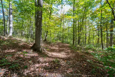 5192 Highway 620, Wollaston, On K0l 1p0