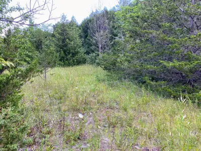 0 Colebrook Road, Stone Mills, On K0k 3n0