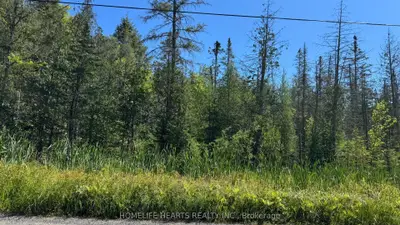 2801 Yearley Road, Huntsville, On P0b 1m0
