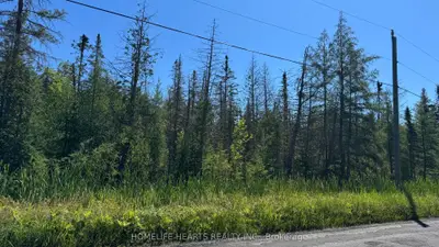 2801 Yearley Road, Huntsville, On P0b 1m0